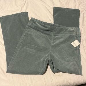 NWT Free People Velvet Pants